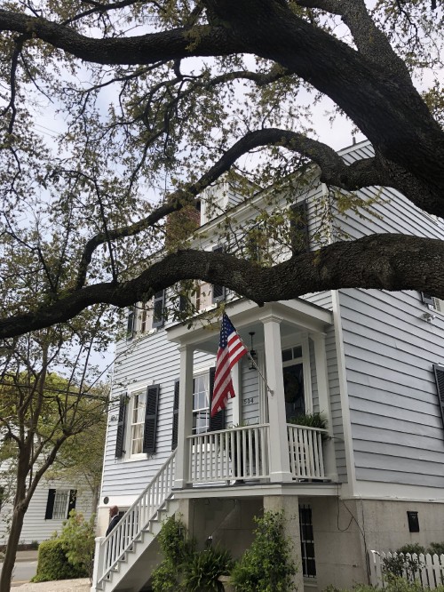 Image house, branch, flag, daytime, window