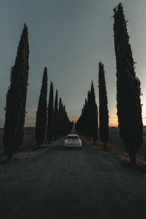 Image white car parked near trees during night time