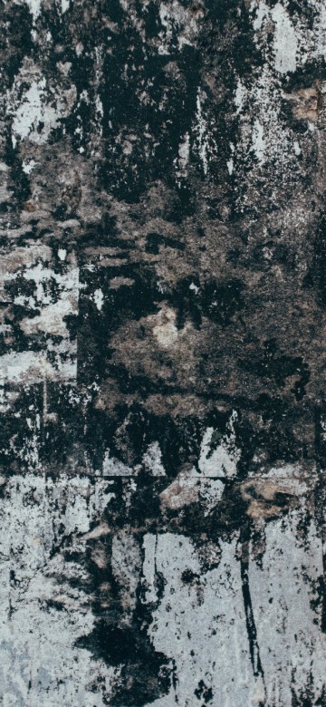 Image texture, black, wall, tree, wood