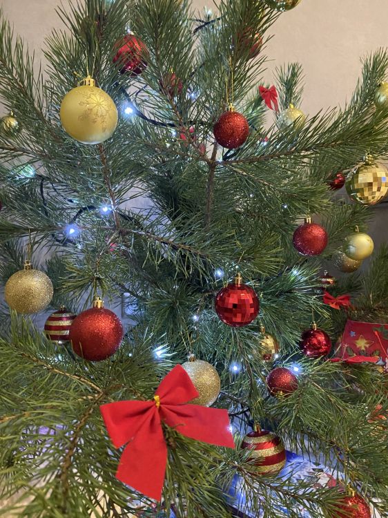 Christmas Ornament, Weihnachten, Weihnachtsbaum, Fir, Veranstaltung. Wallpaper in 1536x2048 Resolution