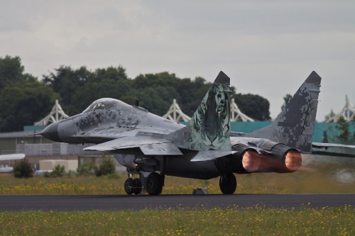 Image person holding black fighter jet