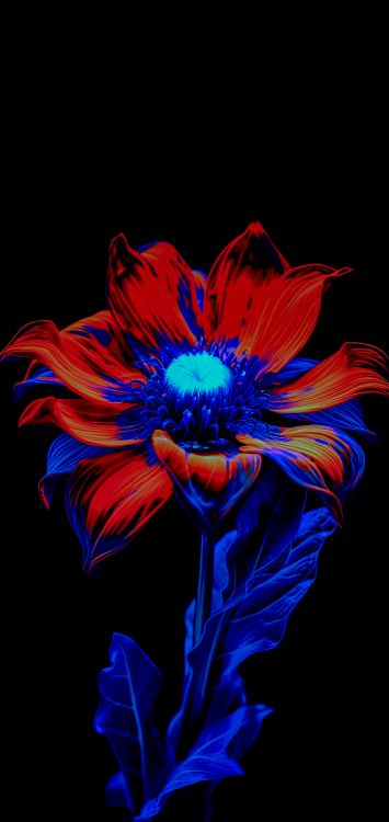 la Floraison de la Plante, Pétale, Purple, Violette, Art. Wallpaper in 3264x6891 Resolution