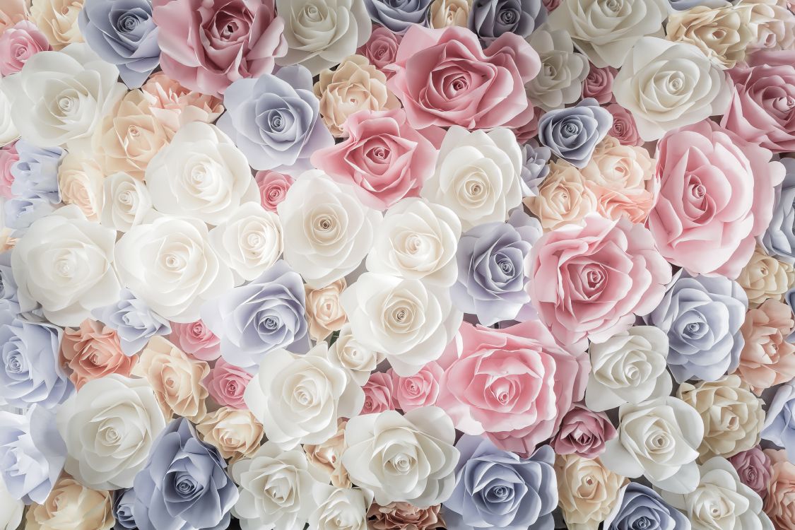 Weißer Rosa Und Blauer Rosenstrauß. Wallpaper in 6556x4370 Resolution