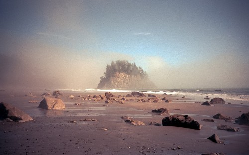 Image brown rock formation on seashore during daytime