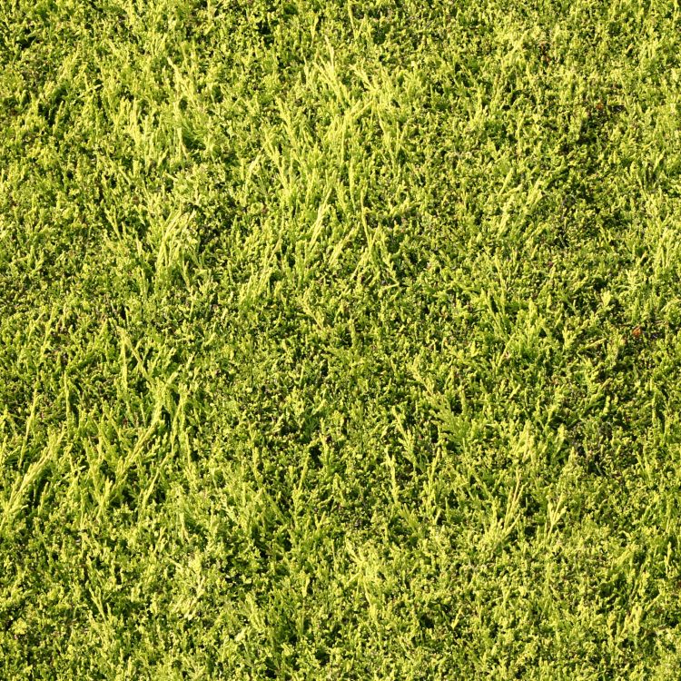 Campo de Hierba Verde Durante el Día. Wallpaper in 2048x2048 Resolution