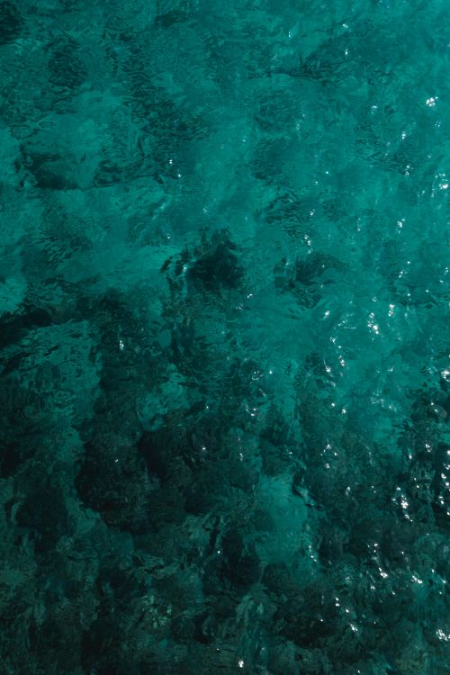 Türkis, Gr, Teal, Aqua, Blau. Wallpaper in 4160x6240 Resolution