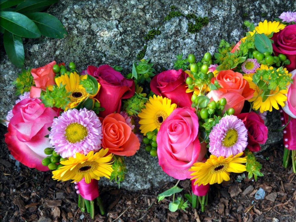 花艺, 切花, 花安排, 花卉设计, 非洲菊 壁纸 2048x1536 允许