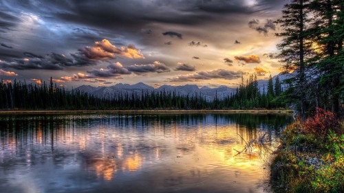 Image green trees beside body of water under cloudy sky during daytime