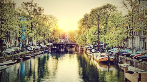 Image boat on dock near trees during sunset