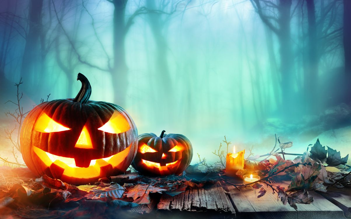 Fondos de Pantalla Calabaza, Cucurbita, Calor, Halloween, Jack O