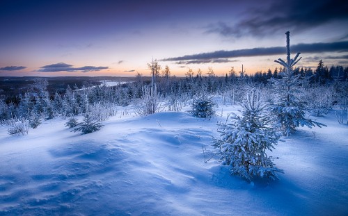 Image snow covered field under cloudy sky during daytime