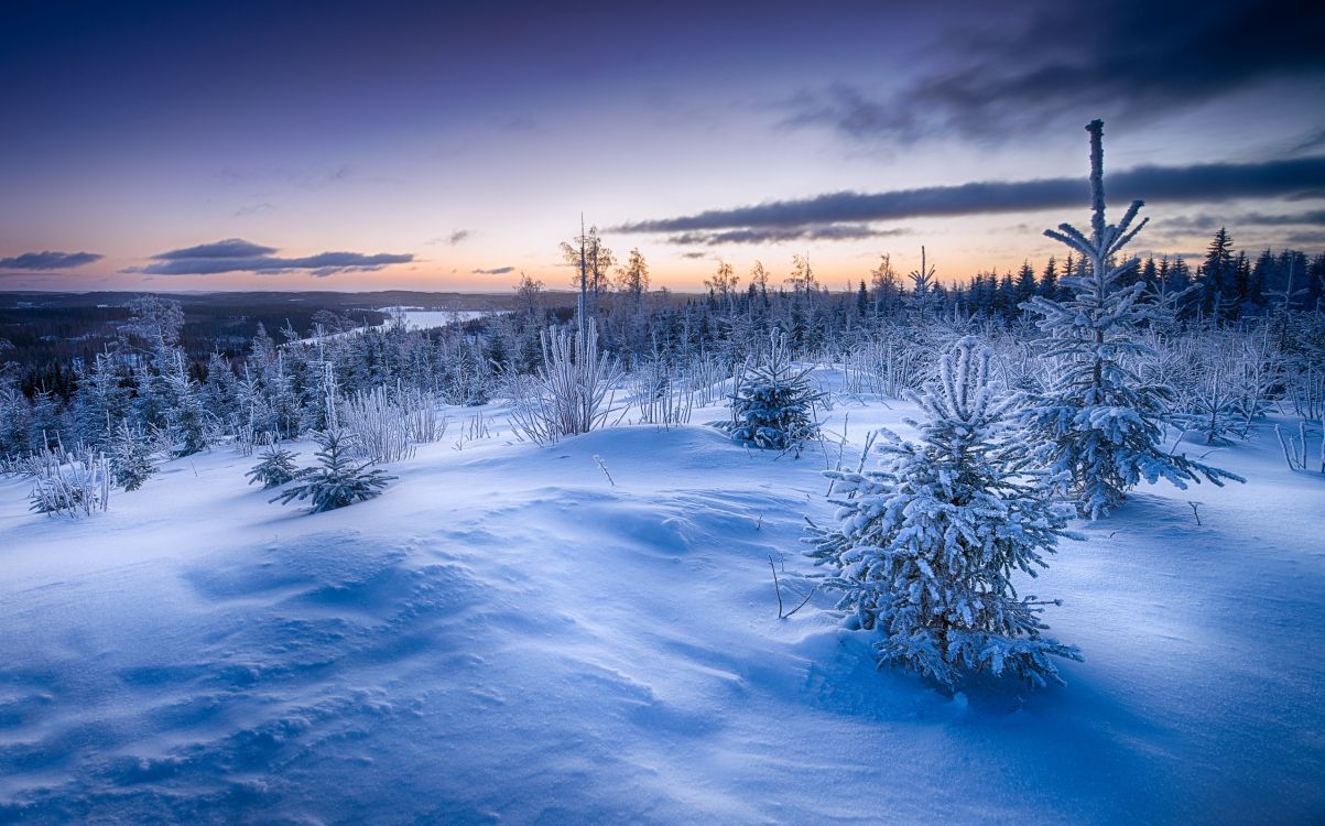 snow covered field under cloudy sky during daytime