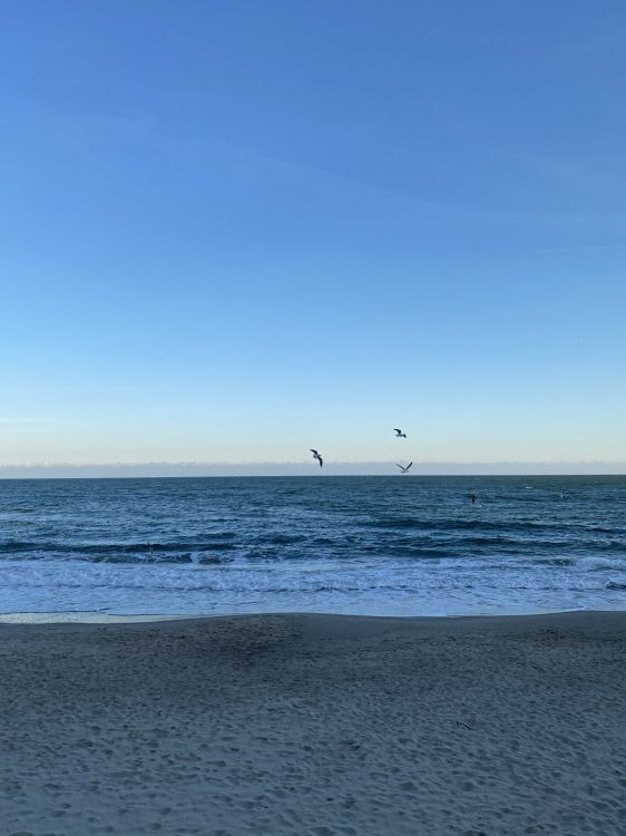 Meer, Onoville Marina Park, Onoville, Strand, Campingplatz. Wallpaper in 1536x2048 Resolution