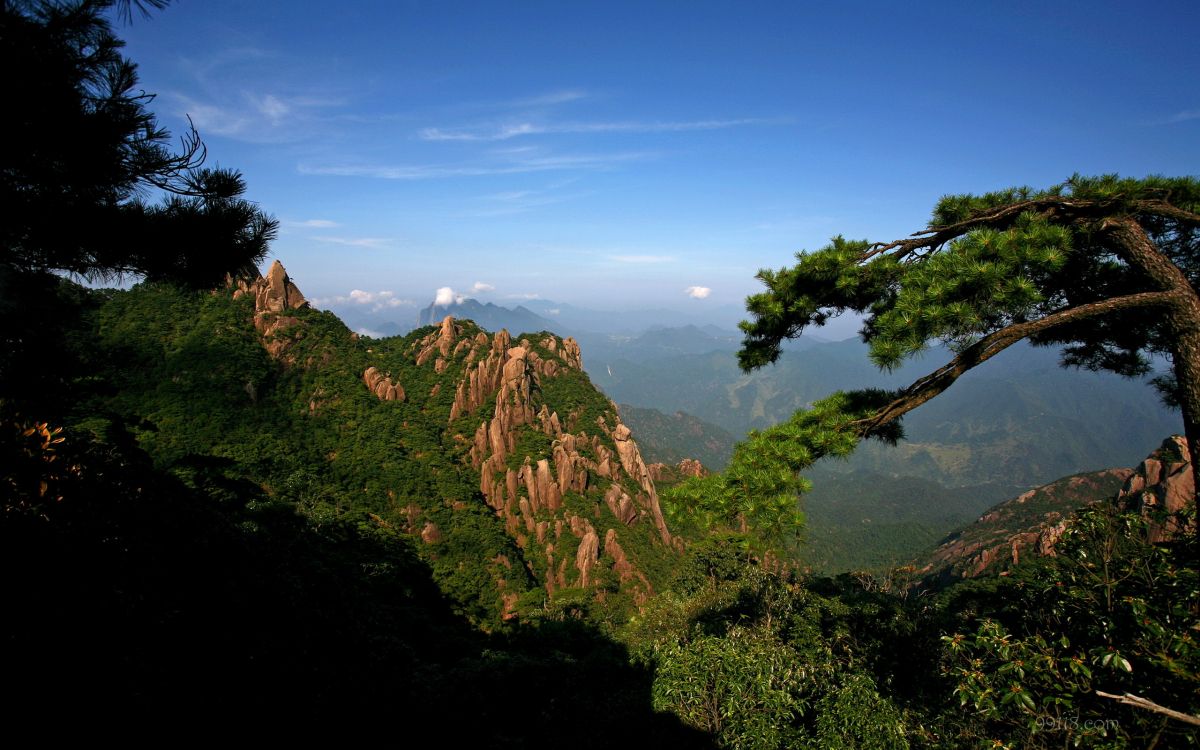 Grüne Bäume Auf Braunem Berg Unter Blauem Himmel Tagsüber. Wallpaper in 2560x1600 Resolution
