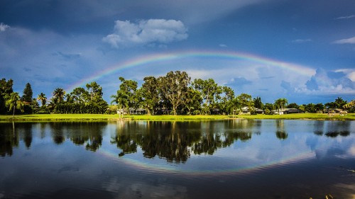 Image green trees beside body of water under blue sky during daytime