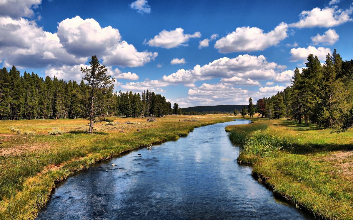 green grass field near river under blue sky during daytime