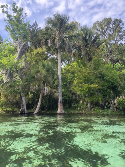 Image vegetation, body of water, nature, natural landscape, water resources