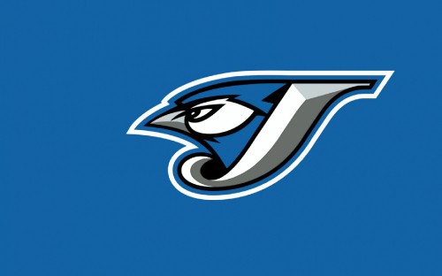 Image blue and white bird logo