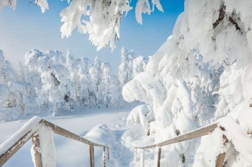 Image brown wooden fence covered with snow