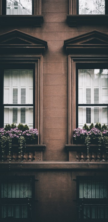 Image CC0 licence, facade, pink, window, happiness