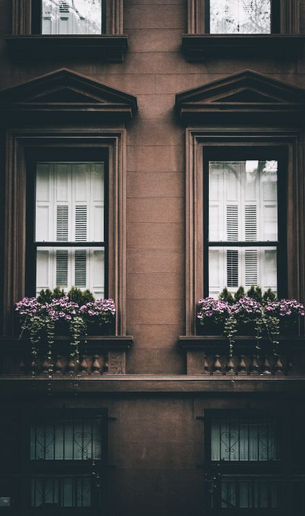 CC0 licence, facade, pink, window, happiness