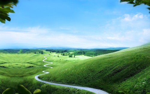 Image green grass field under blue sky during daytime