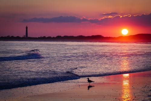 Image beach, sunset, horizon, afterglow, sunrise