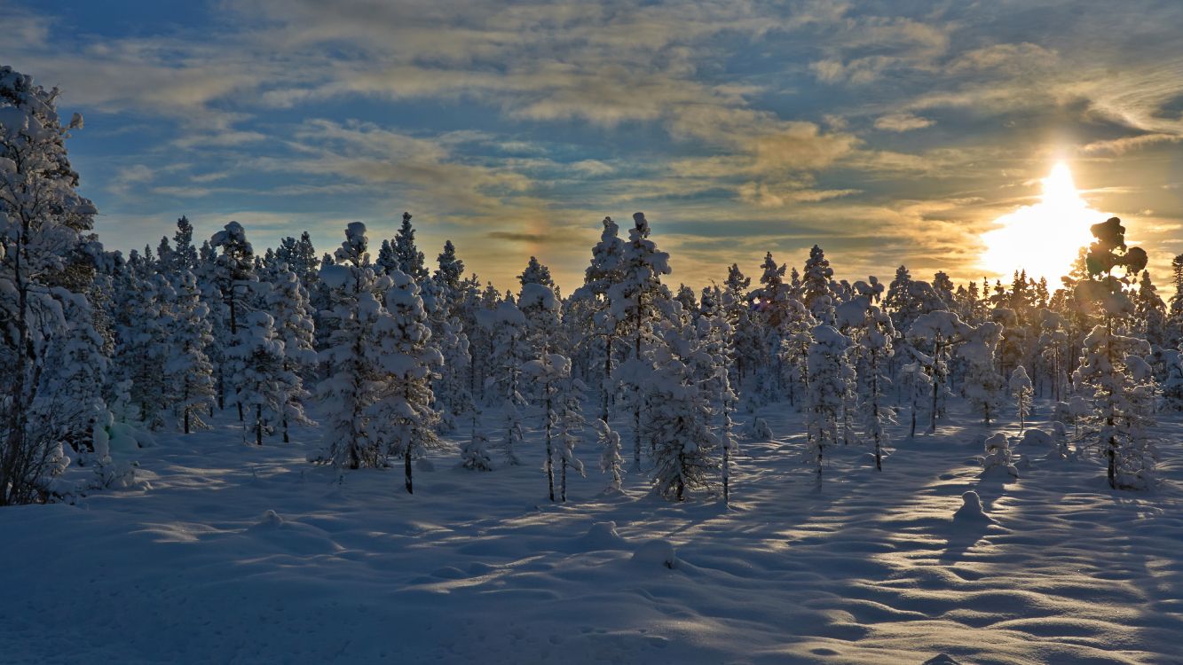 Schneebedeckte Bäume Unter Bewölktem Himmel Tagsüber. Wallpaper in 4559x2564 Resolution