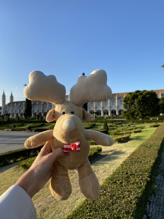 Tourisme, Jouet en Peluche, Peluche, Haie, Garden. Wallpaper in 1536x2048 Resolution