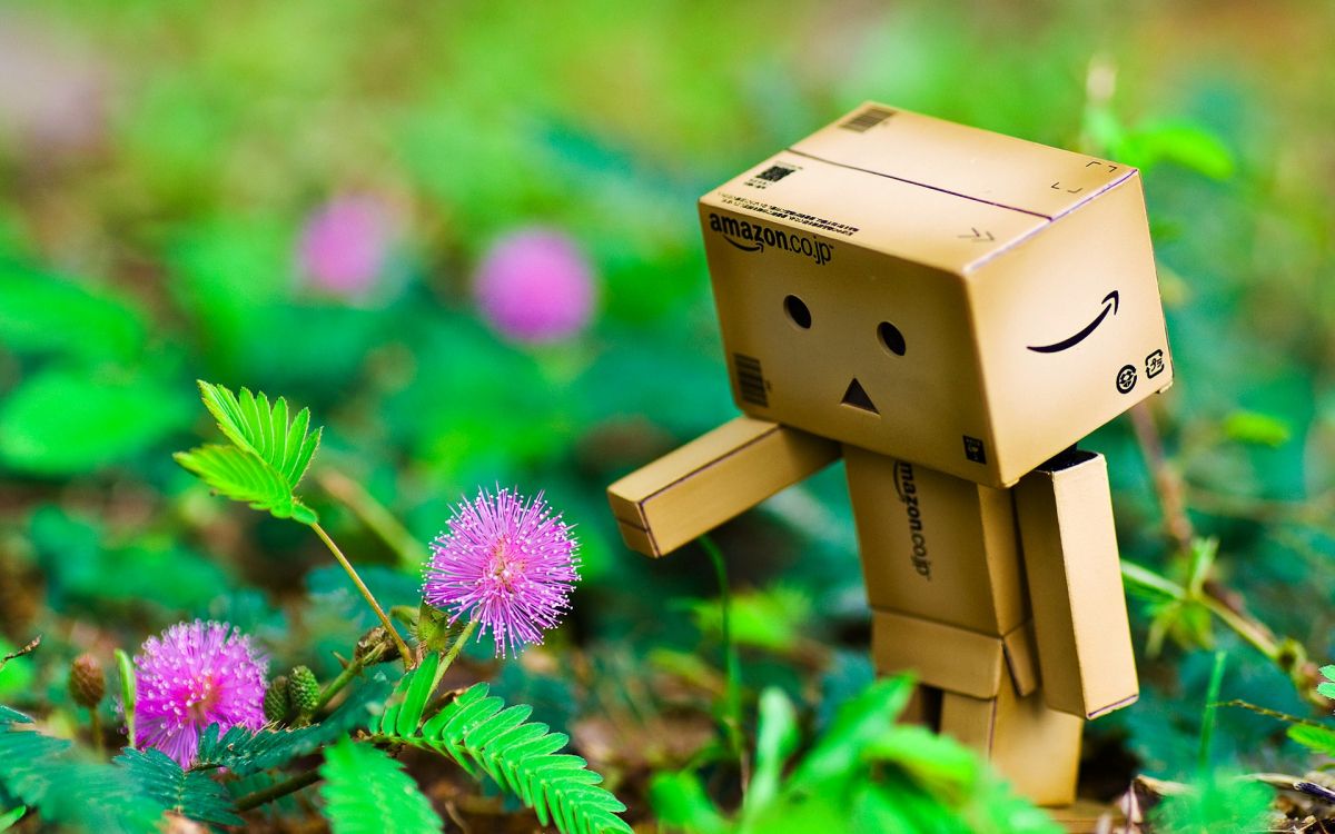 Robot de Caja de Cartón Marrón en Flor Rosa. Wallpaper in 1920x1200 Resolution