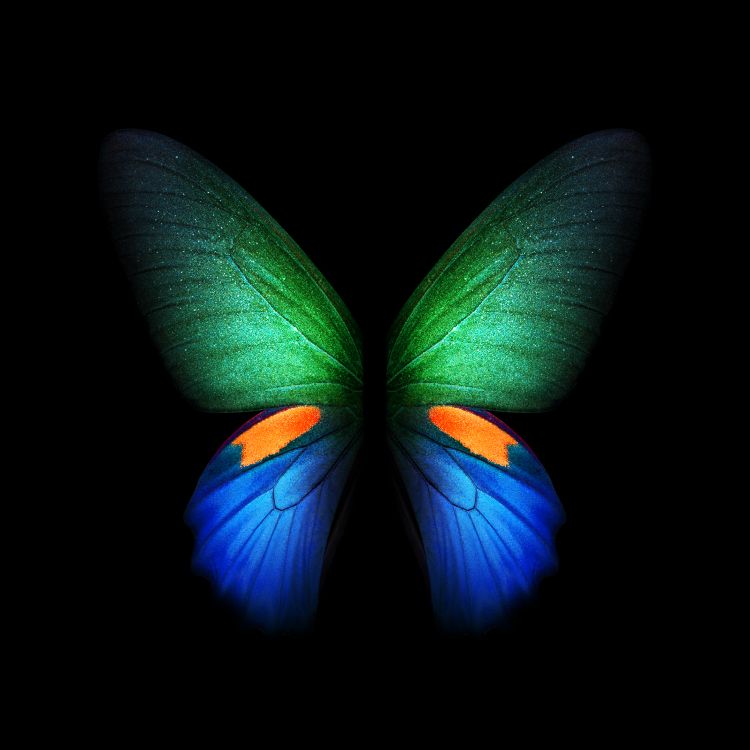 Samsung Galaxy, Samsung, Samsung Galaxy Fold, Galaxienfalte, Faltbares Smartphone. Wallpaper in 2152x2152 Resolution