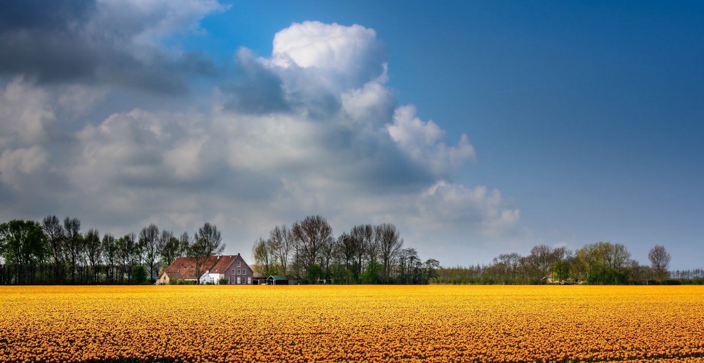 Casa Marrón en Campo Amarillo Bajo el Cielo Nublado Azul y Blanco Durante el Día. Wallpaper in 2789x1440 Resolution