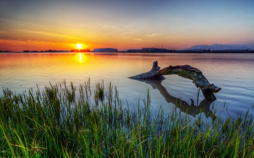 Image green grass near body of water during sunset