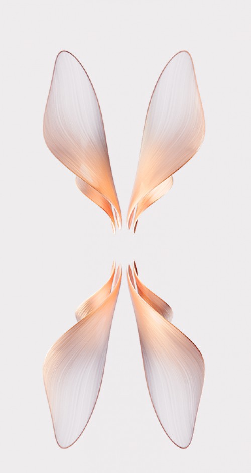 Image OPPO, android, Clamshell design, graphics, graphic design