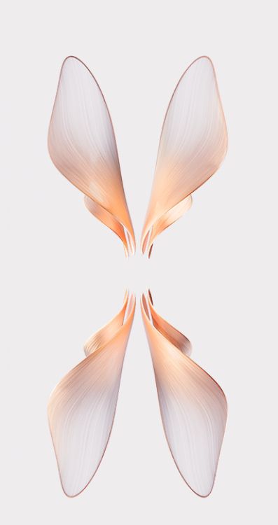 OPPO, Android, Diseño de Concha, Gráficos, Diseño Gráfico. Wallpaper in 382x720 Resolution