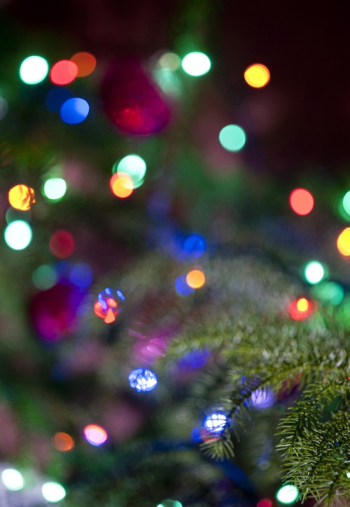 Image green and red christmas tree with string lights