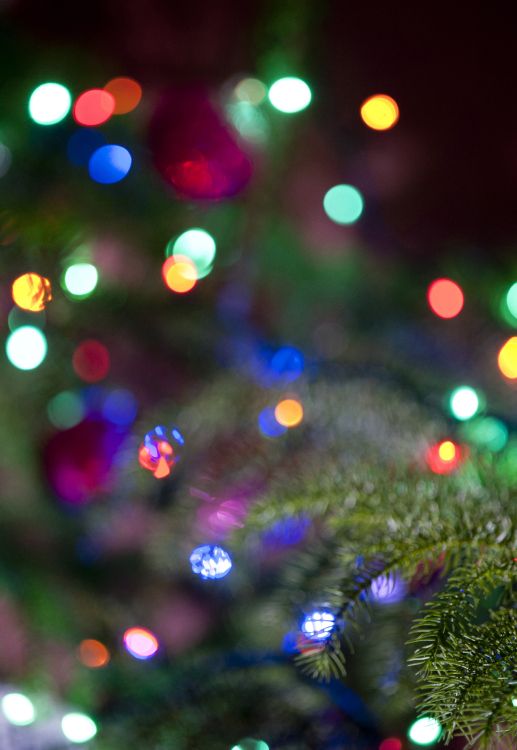 green and red christmas tree with string lights