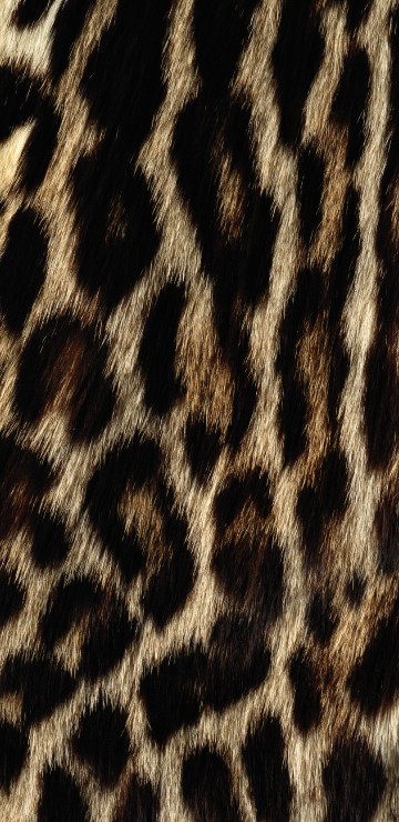 Image black and white leopard textile