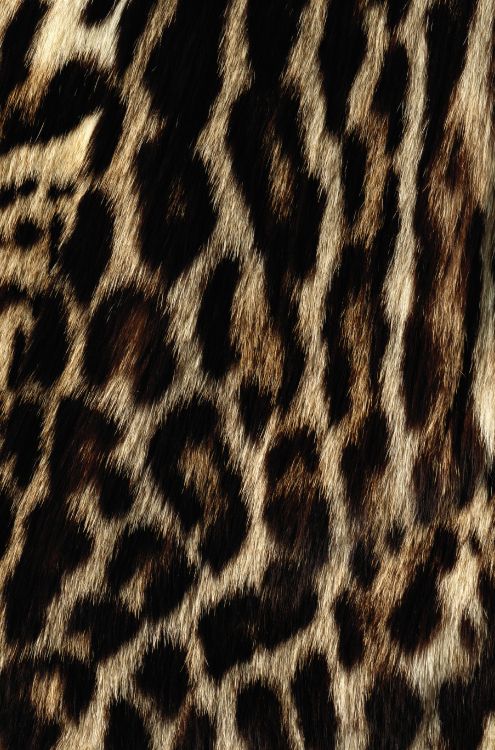 black and white leopard textile