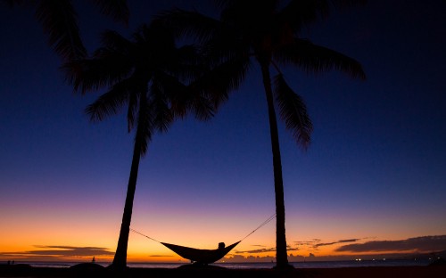 Image coconut tree near body of water during sunset