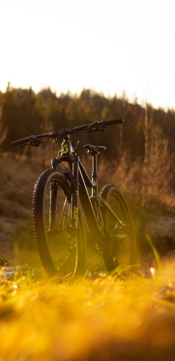 Image black mountain bike on green grass field during daytime