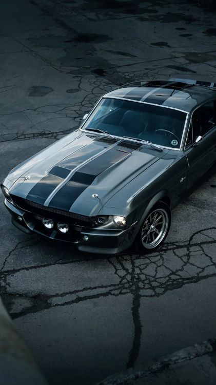 Ford Mustang, Eleonore, Ford Shelby GT500, Ford, Ford Motor Company. Wallpaper in 1080x1920 Resolution