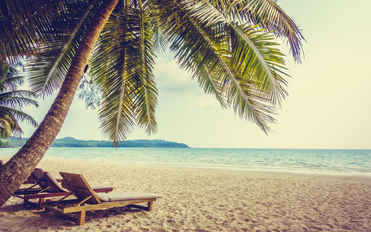 Chaise Longue en Bois Marron Sur la Plage Pendant la Journée. Wallpaper in 2880x1800 Resolution