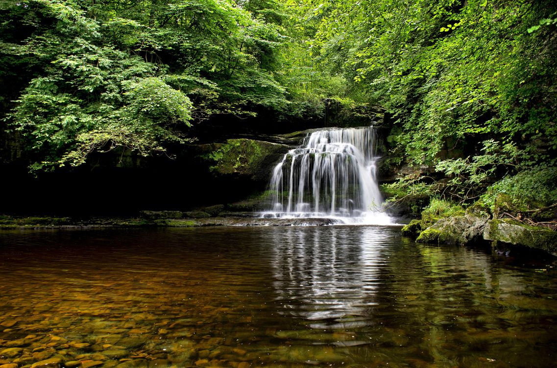Cascades au Milieu Des Arbres Verts. Wallpaper in 3200x2110 Resolution