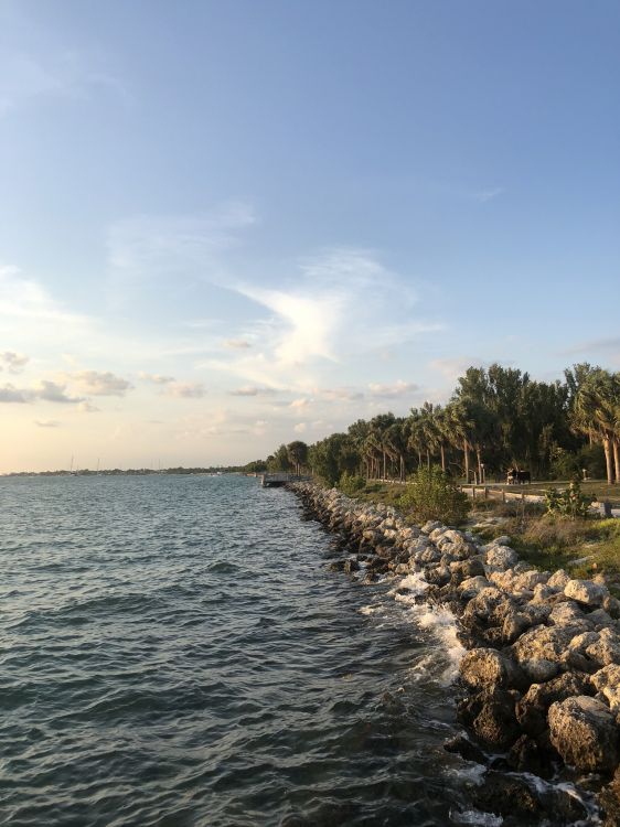 Wasserressourcen, Gewässer, Wasserstraße, Bank, Flüssigkeit. Wallpaper in 1536x2048 Resolution