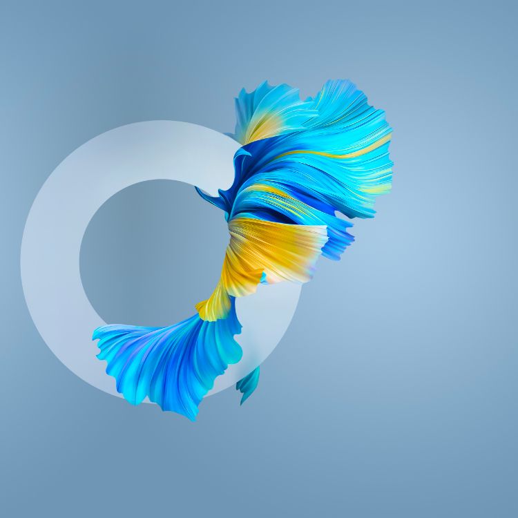 Huawei Mate, Huawei Mate 40 Pro, 华为伴侣40, 智能手机, 50mp 壁纸 2772x2772 允许