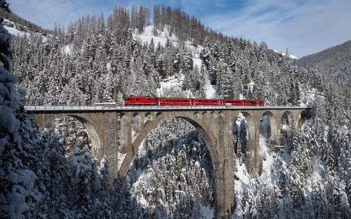 Image red train on rail bridge near trees covered with snow during daytime