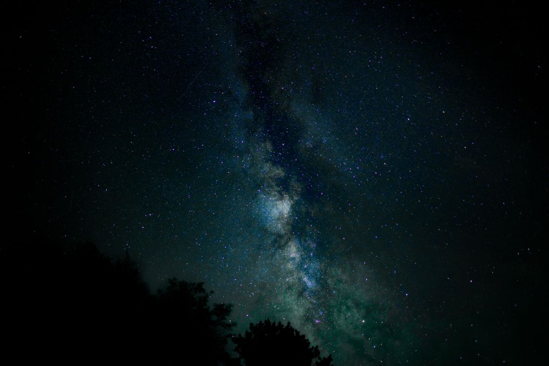 Grüne Bäume Unter Blauem Himmel Während Der Nacht Night. Wallpaper in 6016x4005 Resolution