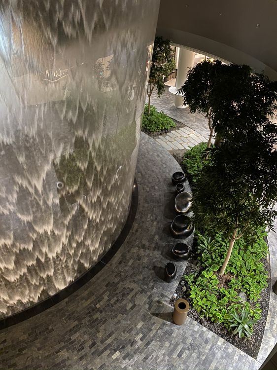 Agua, Arbusto, Jardin, Material Natural. Wallpaper in 1536x2048 Resolution