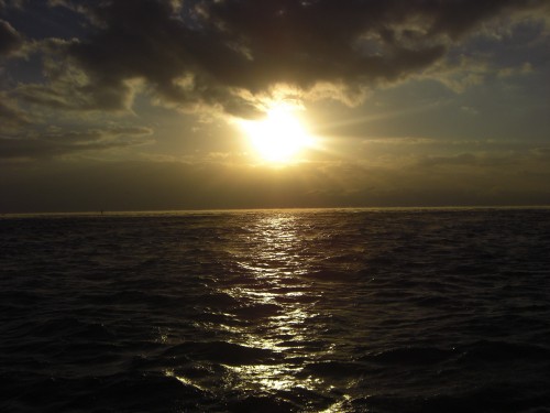 Image body of water under blue sky during daytime